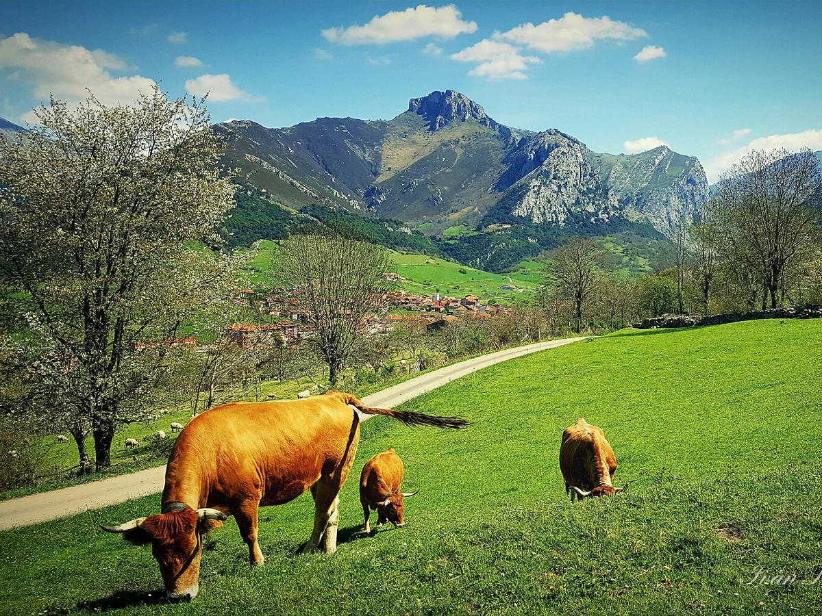 Hotel La Rivera Arenas De Cabrales Luaran gambar
